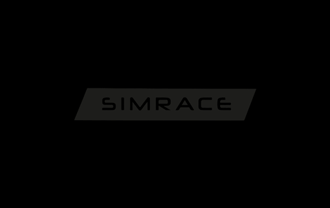 SimRace